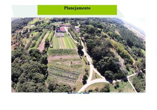 PlanejamentoPlanejamento
COMPOSTAGEMCOMPOSTAGEM
HORTALIÇASHORTALIÇAS
PRODUÇÃO de BIOMASSAPRODUÇÃO de BIOMASSA
(capim elefante(capim elefante –– gliricídia)gliricídia)
PRODUÇÃO HORTALIÇASPRODUÇÃO HORTALIÇAS
HORTALIÇASHORTALIÇAS
TELADOSTELADOS
HORTALIÇASHORTALIÇAS
 