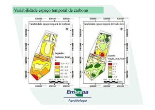 Variabilidade espaço temporal de carbono
 