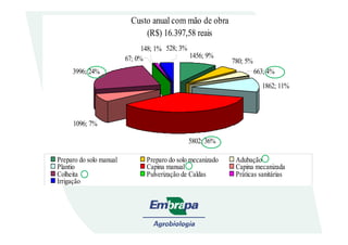 Custo anual com mão de obra
(R$) 16.397,58 reais
780; 5%
1096; 7%
3996; 24%
528; 3%
67; 0%
148; 1%
1862; 11%
663; 4%
1456; 9%
5802; 36%
1096; 7%
Preparo do solo manual Preparo do solo mecanizado Adubação
Plantio Capina manual Capina mecanizada
Colheita Pulverização de Caldas Práticas sanitárias
Irrigação
 