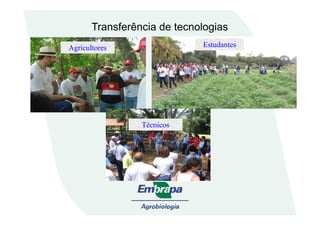 Transferência de tecnologias
AgricultoresAgricultores EstudiantesEstudiantesEstudiantesEstudiantesEstudantesAgricultoresAgricultoresAgricultoresAgricultores
Técnicos
 