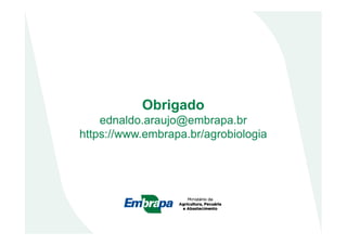 Obrigado
ednaldo.araujo@embrapa.brednaldo.araujo@embrapa.br
https://www.embrapa.br/agrobiologia
 