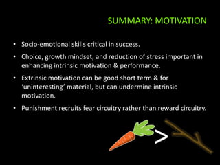 Intrinsic Development Motivation, Resilience & Mindwandering - Some Unknown Facts | PPTX