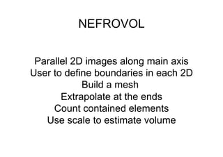 NEFROVOL 
Parallel 2D images along main axis 
User to define boundaries in each 2D 
Build a mesh 
Extrapolate at the ends 
Count contained elements 
Use scale to estimate volume 
 