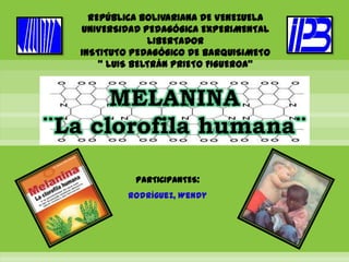 REPÚBLICA BOLIVARIANA DE VENEZUELA
   UNIVERSIDAD PEDAGÓGICA EXPERIMENTAL
                 LIBERTADOR
   INSTITUTO PEDAGÓGICO DE BARQUISIMETO
       " LUIS BELTRÁN PRIETO FIGUEROA"


      MELANINA
¨La clorofila humana¨

             PARTICIPANTES:
            Rodríguez, Wendy
 