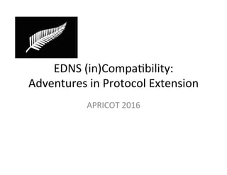 EDNS	
  (in)Compa/bility:	
  
Adventures	
  in	
  Protocol	
  Extension	
  
APRICOT	
  2016	
  
 