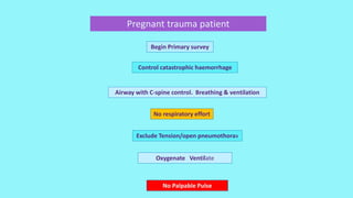 Pregnant trauma patient
Begin Primary survey
Control catastrophic haemorrhage
Airway with C-spine control. Breathing & ventilation
No respiratory effort
Exclude Tension/open pneumothorax
Oxygenate Ventilate
No Palpable Pulse
 