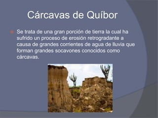 Cárcavas de Quíbor
 Se trata de una gran porción de tierra la cual ha
sufrido un proceso de erosión retrogradante a
causa de grandes corrientes de agua de lluvia que
forman grandes socavones conocidos como
cárcavas.
 