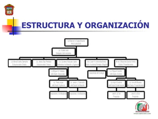 ESTRUCTURA Y ORGANIZACIÓN 