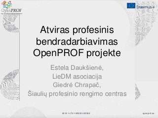 openprof.eu2014-1-LT01-KA202-000562
Atviras profesinis
bendradarbiavimas
OpenPROF projekte
Estela Daukšienė,
LieDM asociacija
Giedrė Chrapač,
Šiaulių profesinio rengimo centras
 