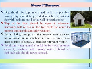 Entrepreneurship development through pet animals rearing | PPT