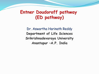 Entner Doudoroff pathway
(ED pathway)
Dr. Aswartha Harinath Reddy
Department of Life Sciences
Srikrishnadevaraya University
Anantapur –A.P. India
 