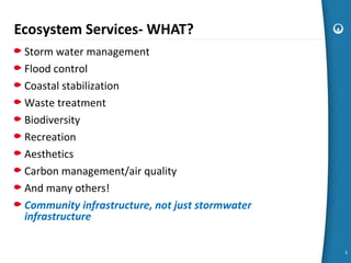 Ecosystem Services- WHAT?
Storm water management
Flood control
Coastal stabilization
Waste treatment
Biodiversity
Recreati...