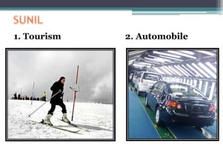 1. Tourism 2. Automobile