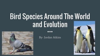 Bird Species Around The World
and Evolution
By- Jordan Atkins
 