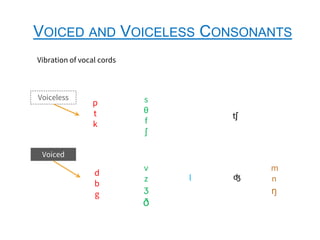 voiceless consonants
