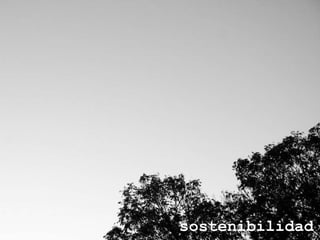 sostenibilidad 
