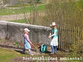 Sostenibilidad ambiental 