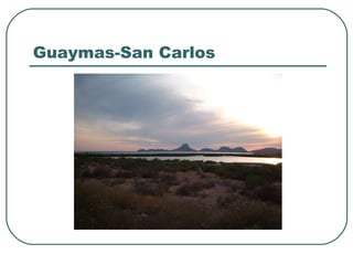 Guaymas-San Carlos 