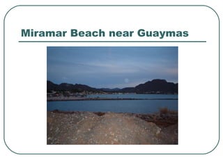 Miramar Beach near Guaymas 