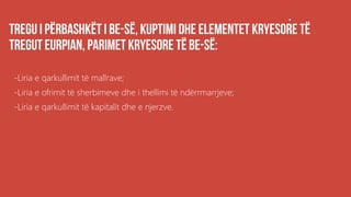 .
-Liria e qarkullimit të mallrave;
-Liria e ofrimit të sherbimeve dhe i thellimi të ndërrmarrjeve;
-Liria e qarkullimit të kapitalit dhe e njerzve.
 
