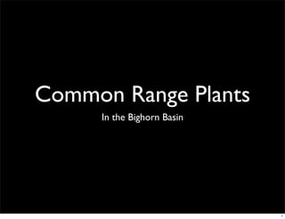 Common Range Plants
     In the Bighorn Basin




                            1
 