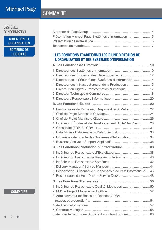 diplome universitaire systeme d'information