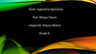 Tema: Ingeniería Agrónoma
Prof: Mireya Osorio
integrante: Edryan Molino
Grado:9
 
