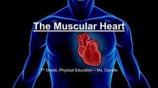 The Muscular Heart
7th Grade, Physical Education – Ms. Cavallo
 