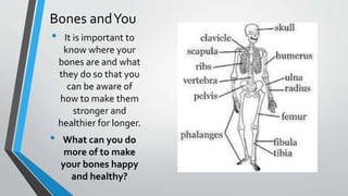Bones andYou
• It is important to
know where your
bones are and what
they do so that you
can be aware of
how to make them
stronger and
healthier for longer.
• What can you do
more of to make
your bones happy
and healthy?
 