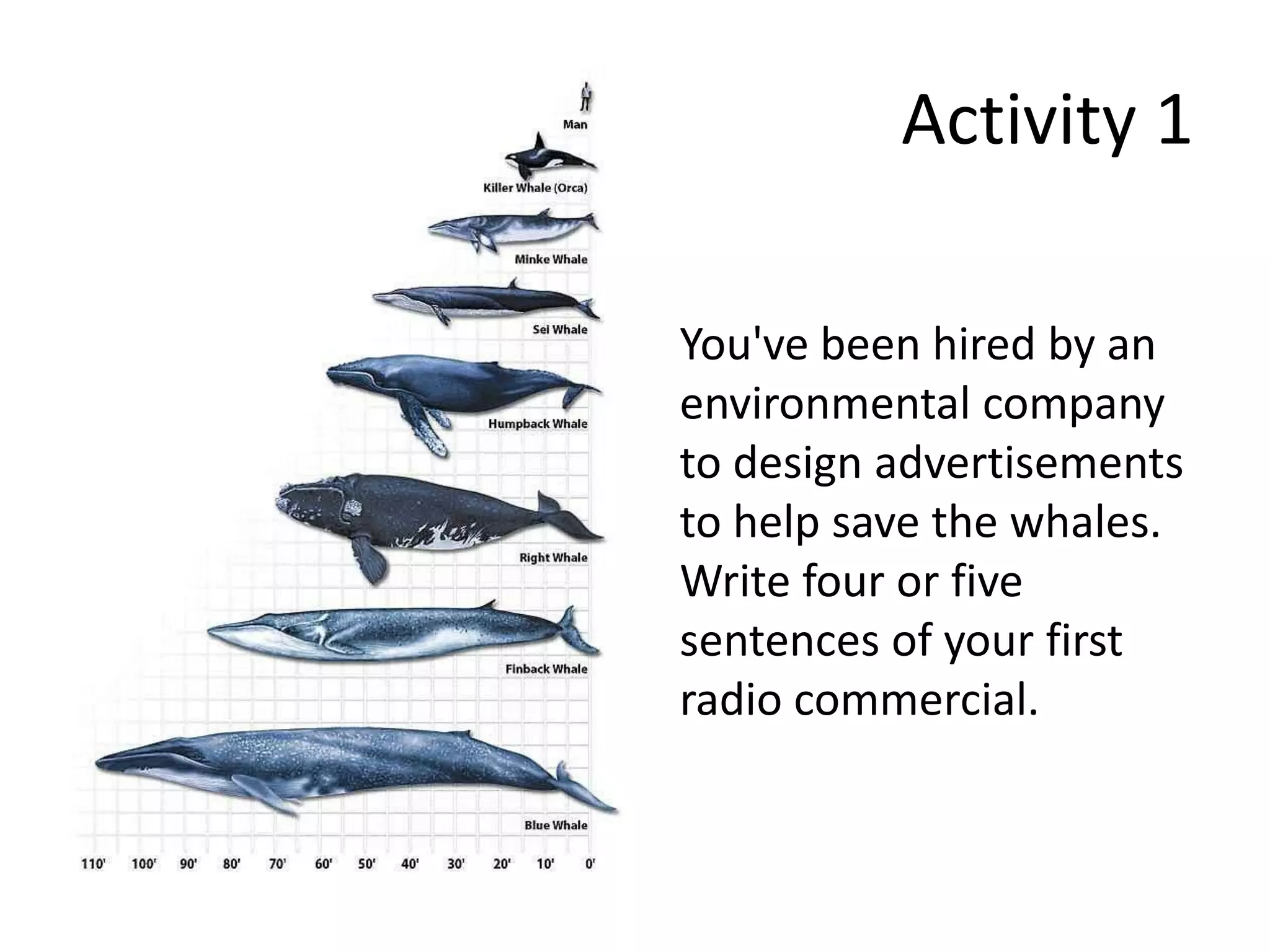 Activity 1
You've been hired by an
environmental company
to design advertisements
to help save the whales.
Write four or five
sentences of your first
radio commercial.