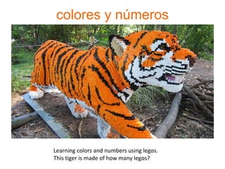 colores y números
Learning colors and numbers using legos.
This tiger is made of how many legos?
 
