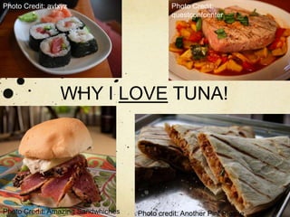 Photo Credit: avlxyz Photo Credit: questconfcenter WHY I LOVE TUNA! Photo Credit: Amazing Sandwhiches Photo credit: Another Pint Please 