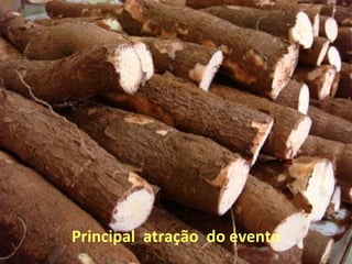 Principal  atração  do evento 