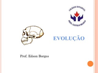 EVOLUÇÃO


Prof. Edson Borges
 