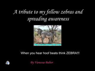 A tribute to my fellow zebras and spreading awareness ,[object Object],When you hear hoof beats think ZEBRA!!! 