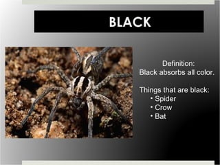 BLACK Definition: Black absorbs all color. Things that are black: Spider Crow Bat 
