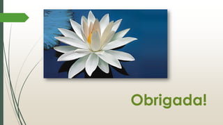 Obrigada!
 