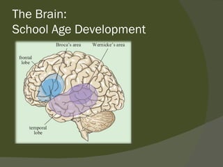 The Brain:
School Age Development
 