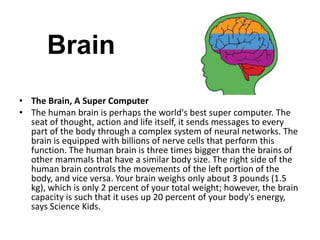Brain
• The Brain, A Super Computer
• The human brain is perhaps the world's best super computer. The
seat of thought, action and life itself, it sends messages to every
part of the body through a complex system of neural networks. The
brain is equipped with billions of nerve cells that perform this
function. The human brain is three times bigger than the brains of
other mammals that have a similar body size. The right side of the
human brain controls the movements of the left portion of the
body, and vice versa. Your brain weighs only about 3 pounds (1.5
kg), which is only 2 percent of your total weight; however, the brain
capacity is such that it uses up 20 percent of your body's energy,
says Science Kids.
 
