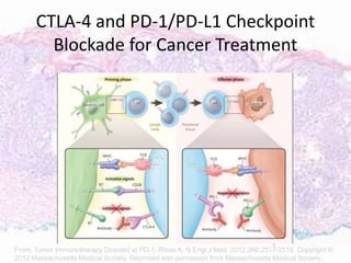 From: Tumor Immunotherapy Directed at PD-1; Ribas A. N Engl J Med. 2012;366:2517-2519. Copyright ©
2012 Massachusetts Medical Society. Reprinted with permission from Massachusetts Medical Society.
CTLA-4 and PD-1/PD-L1 Checkpoint
Blockade for Cancer Treatment
 