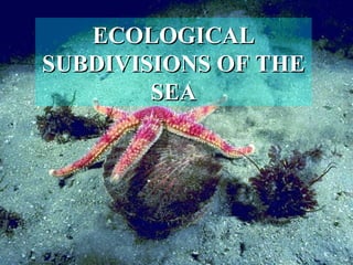 ECOLOGICAL
SUBDIVISIONS OF THE
        SEA
 