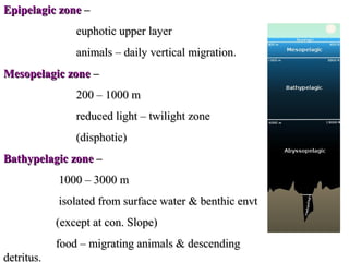 Epipelagic zone –
                euphotic upper layer
                animals – daily vertical migration.
                                         migration
Mesopelagic zone –
                200 – 1000 m
                reduced light – twilight zone
                (disphotic)
Bathypelagic zone –
            1000 – 3000 m
            isolated from surface water & benthic envt
            (except at con. Slope)
            food – migrating animals & descending
detritus.
 