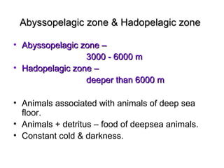 Abyssopelagic zone & Hadopelagic zone

• Abyssopelagic zone –
                 3000 - 6000 m
• Hadopelagic zone –
                 deeper than 6000 m

• Animals associated with animals of deep sea
  floor.
• Animals + detritus – food of deepsea animals.
• Constant cold & darkness.
 