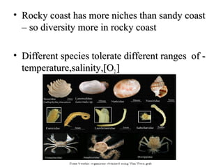 • Rocky coast has more niches than sandy coast
  – so diversity more in rocky coast

• Different species tolerate different ranges of -
  temperature,salinity,[O2 ]
 