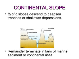 CONTINENTAL SLOPE
• ½ of c.slopes descend to deepsea
  trenches or shallower depressions.




• Remainder terminate in fans of marine
  sediment or continental rises
 