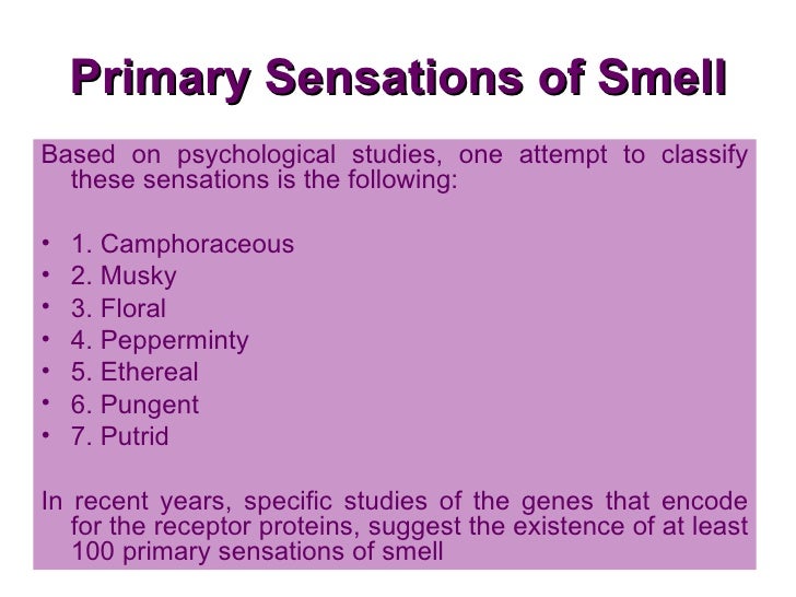 physiology of smell