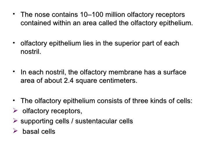 Trust and betrayal essay picture