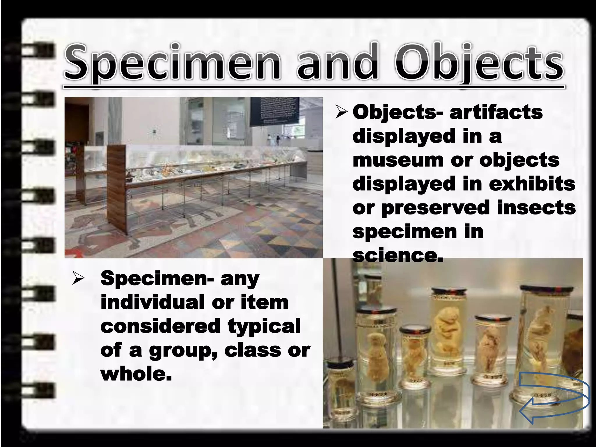 Objects- artifacts
displayed in a
museum or objects
displayed in exhibits
or preserved insects
specimen in
science.
Specimen- any
individual or item
considered typical
of a group, class or
whole.