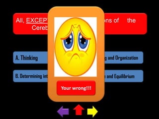 All, EXCEPT one, are the functions of
Cerebrum.

the

A. Thinking

C. Planning and Organization

B. Determining intelligence

D. Balance and Equilibrium

Your wrong!!!

 