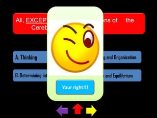 All, EXCEPT one, are the functions of
Cerebrum.

the

A. Thinking

C. Planning and Organization

B. Determining intelligence

D. Balance and Equilibrium

Your right!!!

 